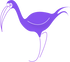 Purple Ibis