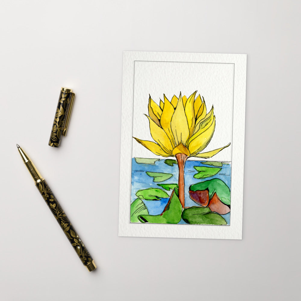 Water Lily - Standard Postcard