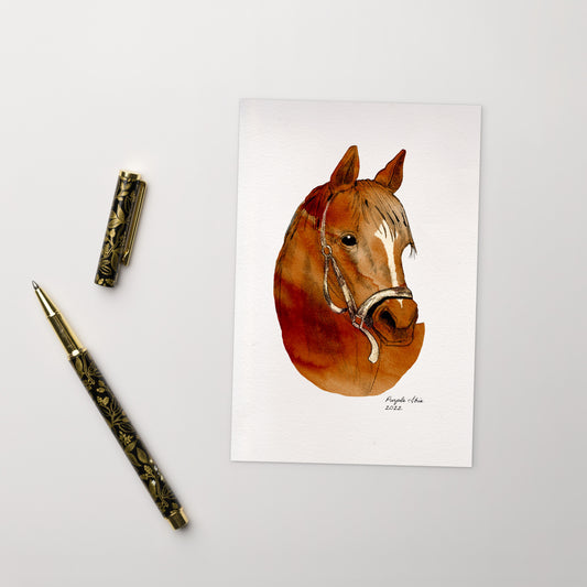 Secretariat - Standard Postcard