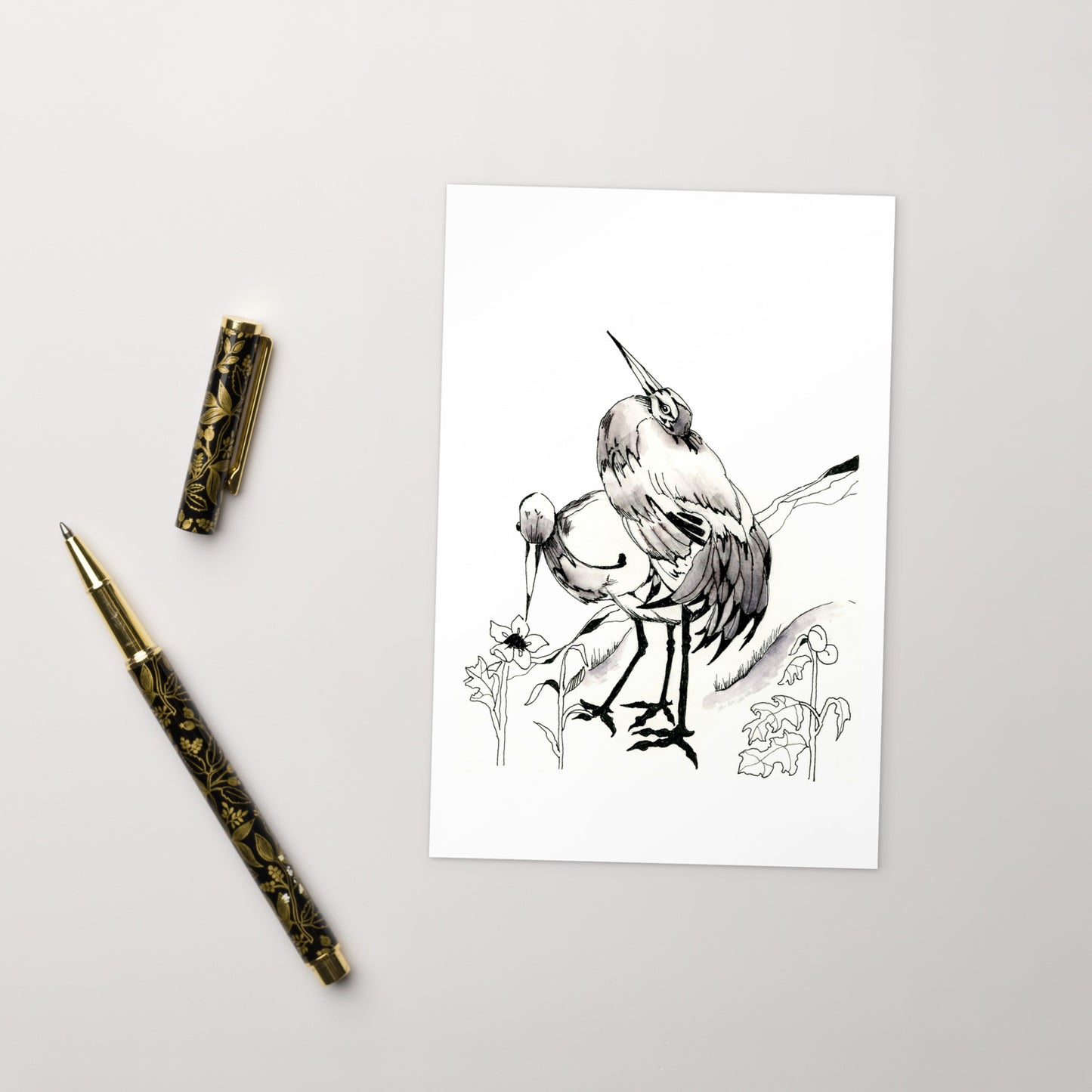 Florida Birds - Standard Postcard