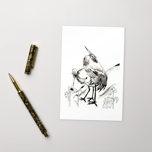 Florida Birds - Standard Postcard