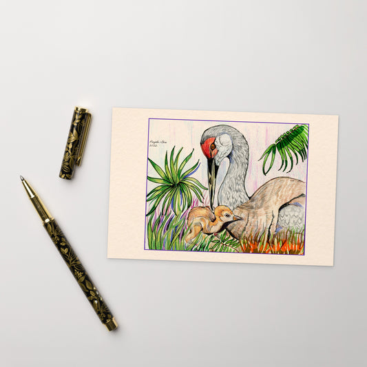 Sandhill Cranes - Standard Postcard